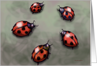 Ladybugs Card