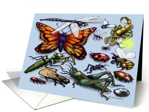 Bugs card (564220)