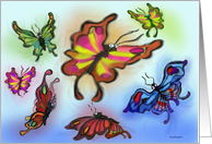 Butterflies card