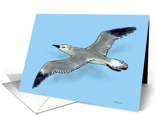 Seagull card (564250)