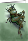 Grasshopper card