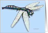 Dragonfly card