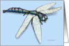 Dragonfly card