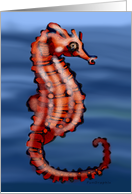 Seahorse card