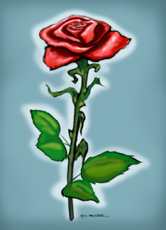 Single Red Rose,...