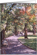 Collections, original art - Zofin in Prague card