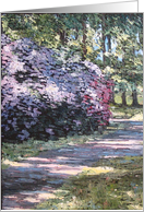 Collections, original art - Light card