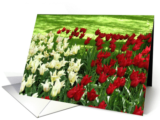 Flowers card (237394)