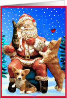 Santa’s Lap, Welsh Corgi card