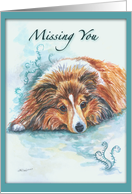 Missing You, Shetland Sheepdog card