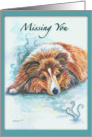 Missing You, Shetland Sheepdog card