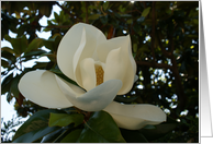 Bloom from within... card