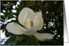 Bloom from within... card