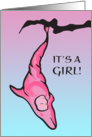 It’s a girl! baby announcement (dolphin cocoon) card