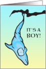 It’s a boy! baby announcement (dolphin cocoon) card