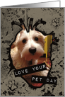 Love Your Pet Day photo card