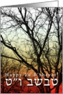 Happy Tu B’Shevat! card