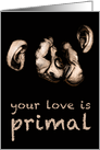 kissing chimps : your love is primal (blank) card