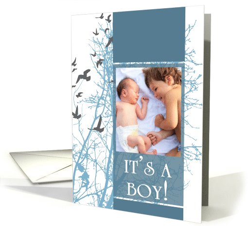 it's a boy! : birds picture card (1103268)
