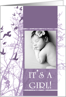 it’s a girl! : birds picture card