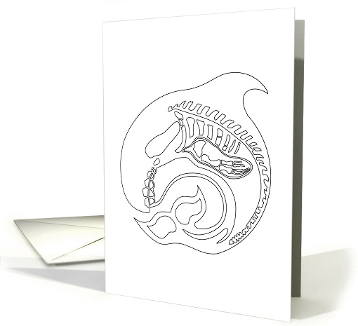 coloring book whale, blank inside card (1416246)