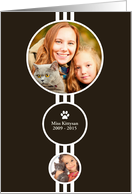Elipses Pet Loss Sympathy card