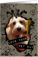 Love Your Pet Day...