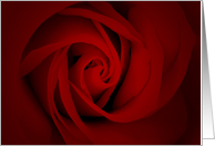 elegant red rose card