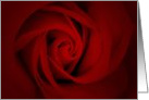 elegant red rose card