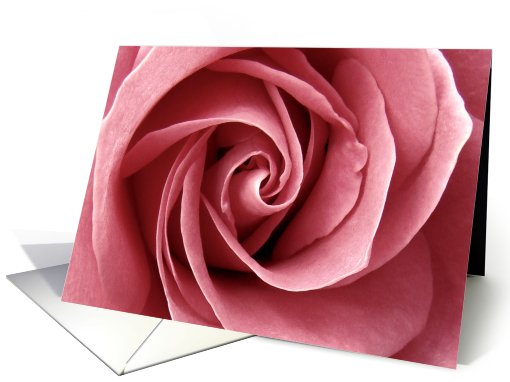elegant pink rose card (691153)