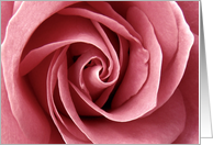 elegant pink rose card