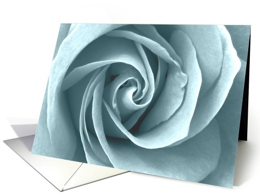 elegant light blue rose card (691156)