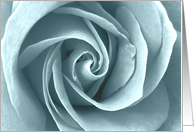 elegant light blue rose card