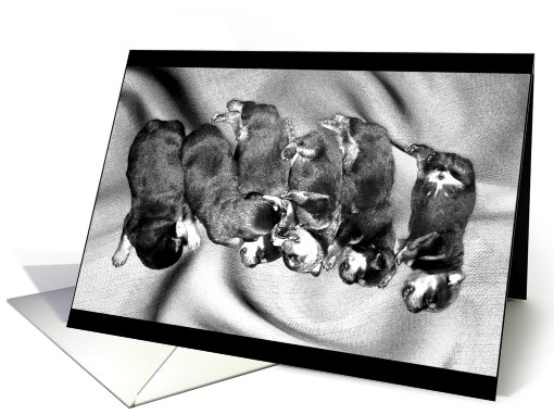 sleepyhead rottweiler puppies card (691794)