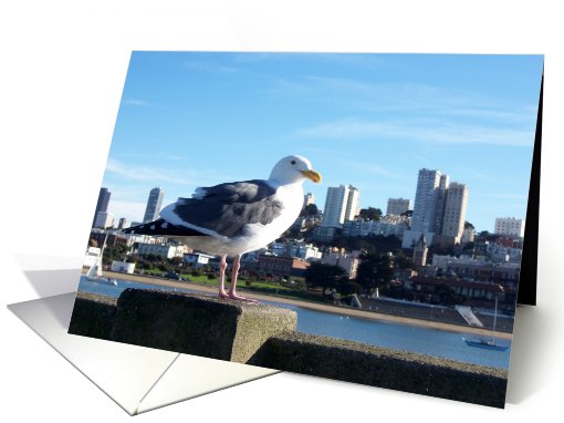 san francisco : bird's view card (691805)