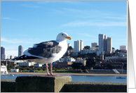 san francisco : bird’s view card