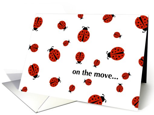 on the move... please update your address book! (ladybug love) card