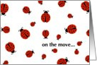 on the move... please update your address book! (ladybug love) card