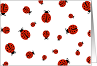 ladybug love card