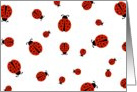 you are my love bug... happy valentine’s! (ladybug hearts) card