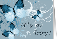 it's a boy! (blank...