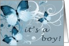 it’s a boy! (blank inside) card