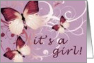 it’s a girl! (blank inside) card