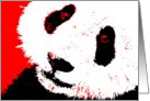 panda bear pop art card