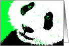 panda bear pop art card