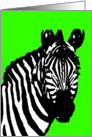 zebra pop art card