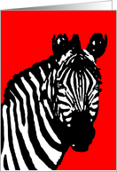 zebra pop art card