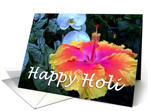 Happy Holi : beautiful hibiscus card (757843)