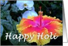 Happy Holi : beautiful hibiscus card