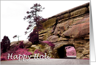 Happy Holi : Springtime Tunnel card